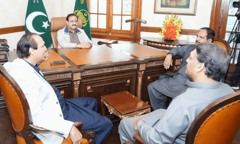 Ministers, Members of Provincial Assembly meet Punjab Chief
