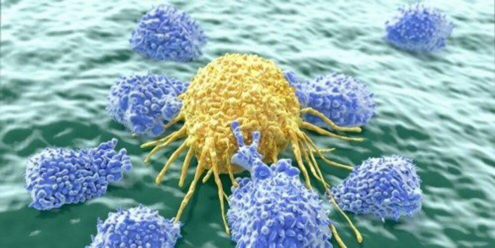 cancers relapse by feeding off immune signals l