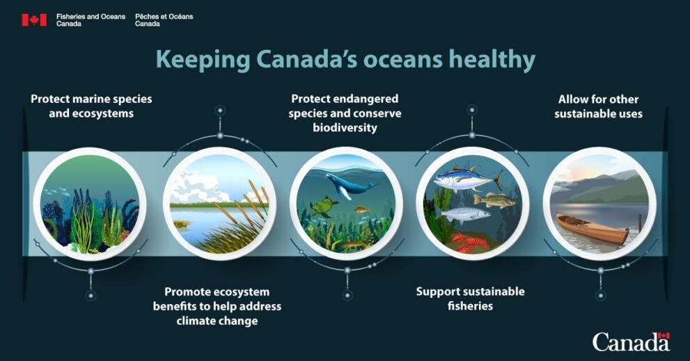 biodiversity in Canadas marine environment