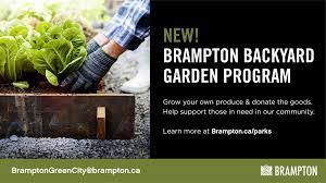 Bramptons Backyard Garden program