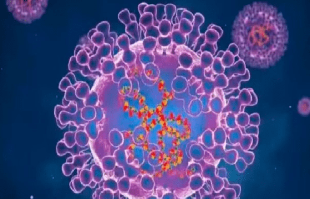 Two deaths due to H3N2 influenza virus in India
